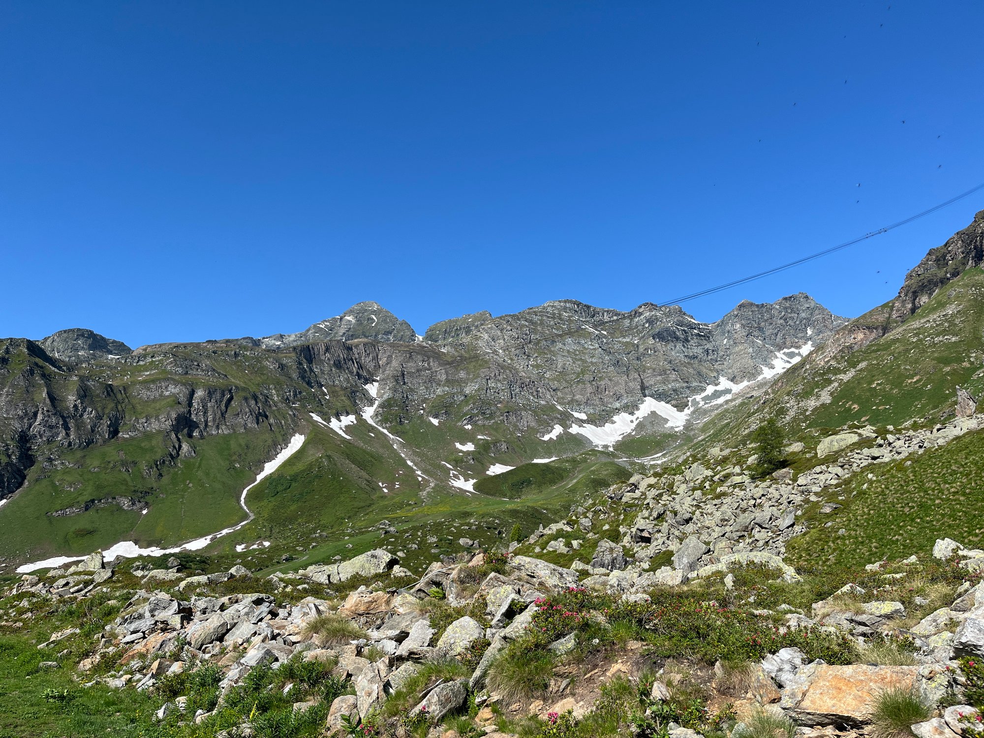 IMG_6663